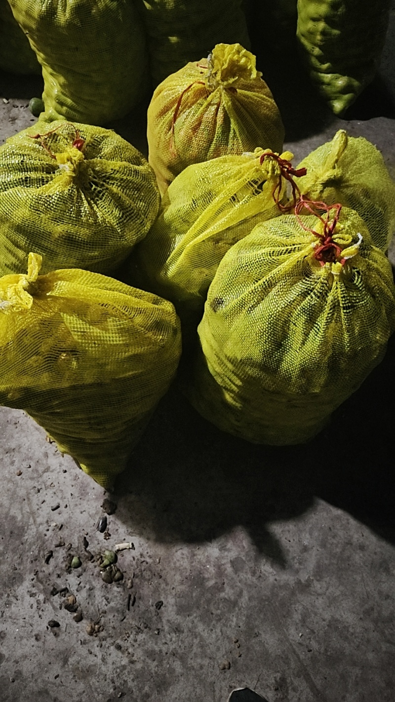 湿核桃，蜕皮鲜核桃，辽系，清香，香菱鲜核桃。