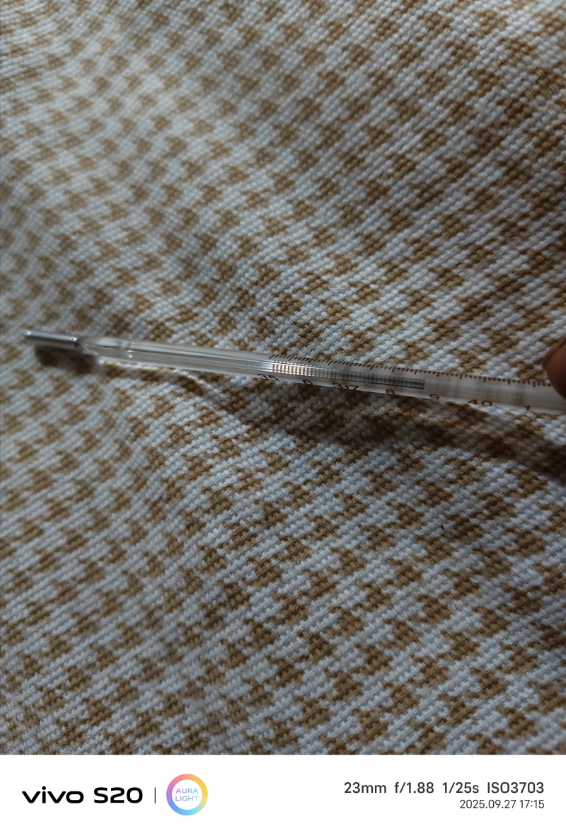 湿核桃，蜕皮鲜核桃，辽系，清香，香菱鲜核桃。