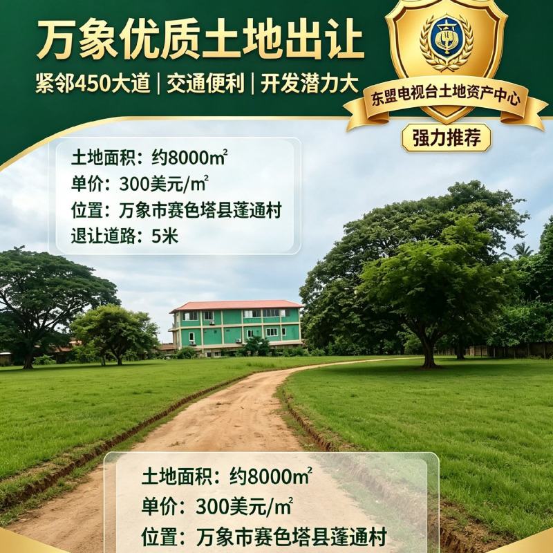 老挝万象高铁站旁的土地。