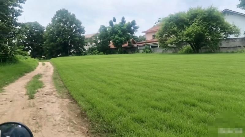 老挝万象高铁站旁的土地。