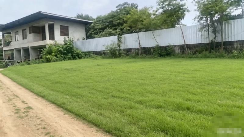 老挝万象高铁站旁的土地。
