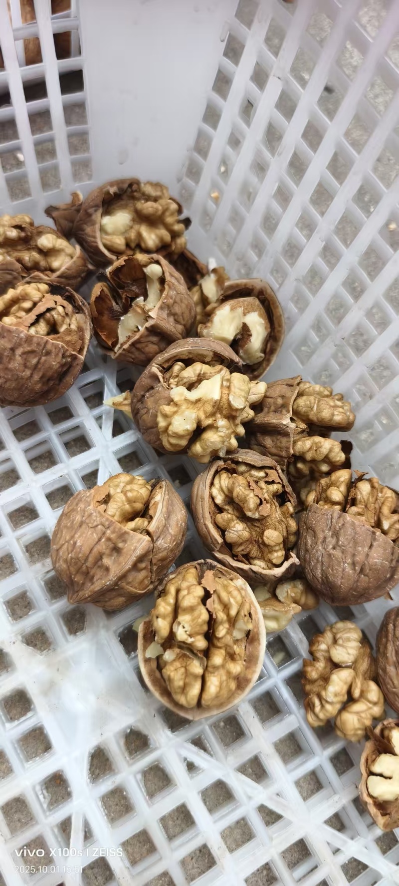 清香核桃优质核桃干核桃各种规格薄皮核桃