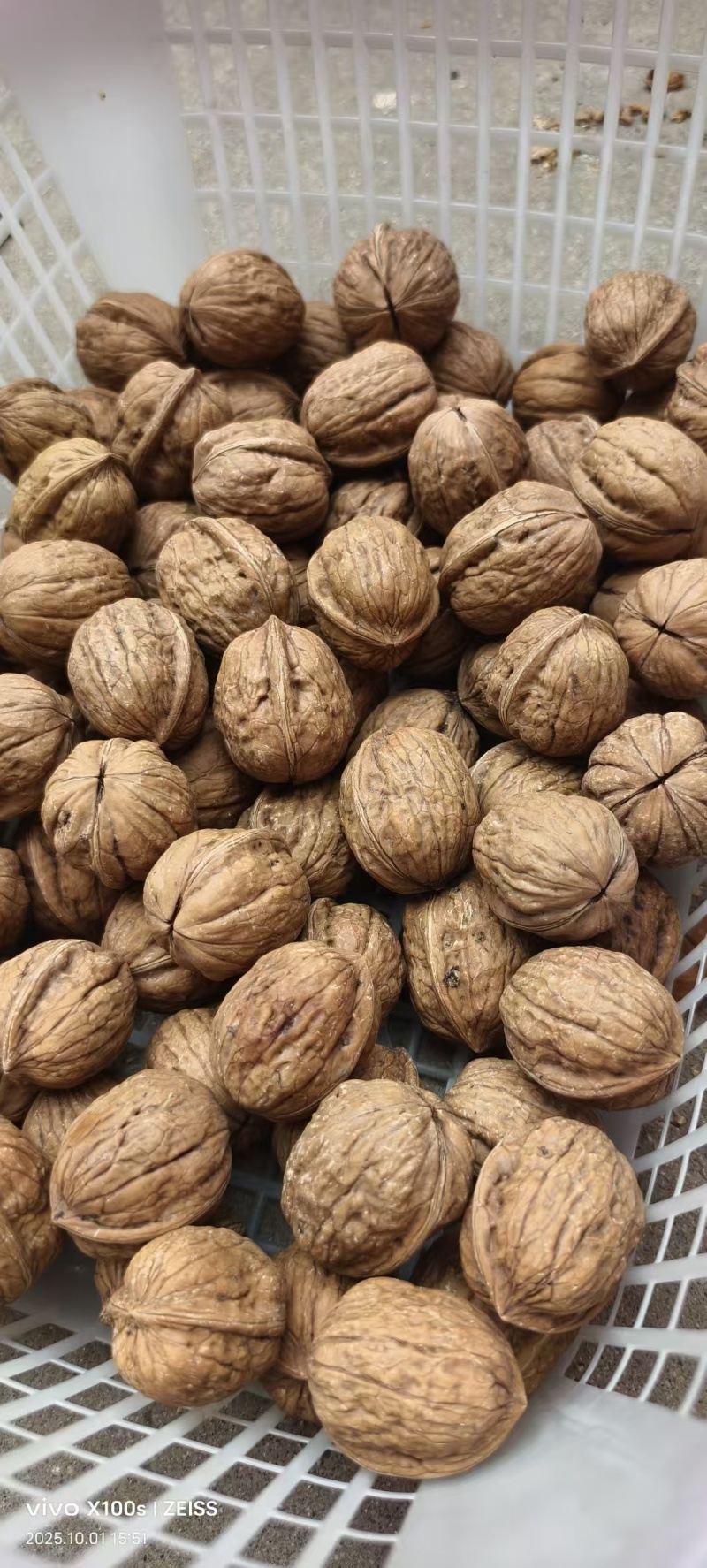 清香核桃优质核桃干核桃各种规格薄皮核桃