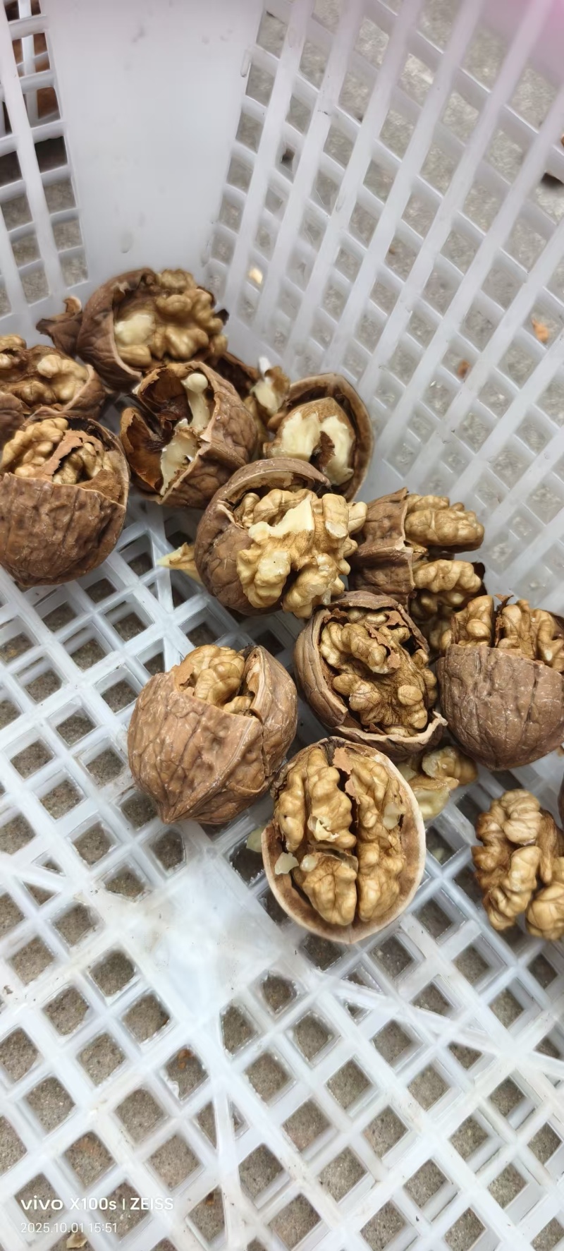 清香核桃优质核桃干核桃各种规格薄皮核桃