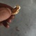 清香核桃优质核桃干核桃各种规格薄皮核桃