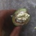 清香核桃优质核桃干核桃各种规格薄皮核桃