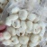 马蹄，马蹄肉各种规格，各种需要满足