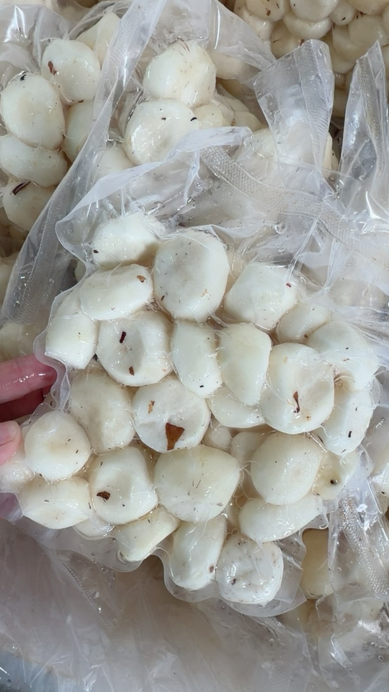 马蹄，马蹄肉各种规格，各种需要满足