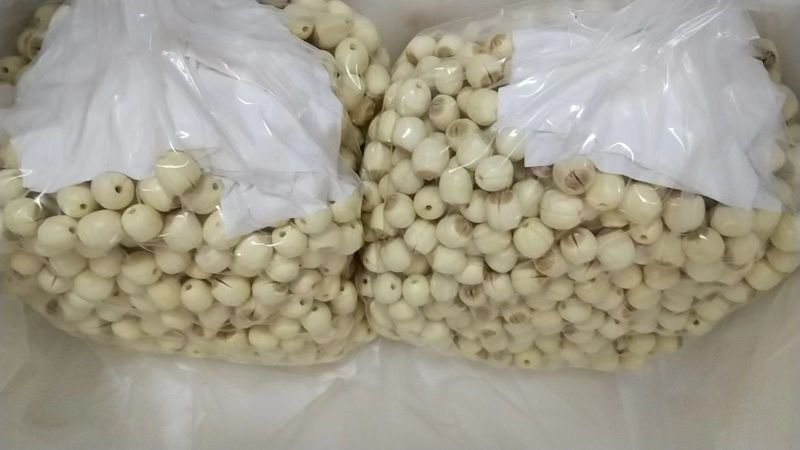 江西新鲜去心白莲了基地直供商超档口批发一件代发