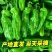《优选》湖北芜湖椒大量上市对接全国量大从优保质保量