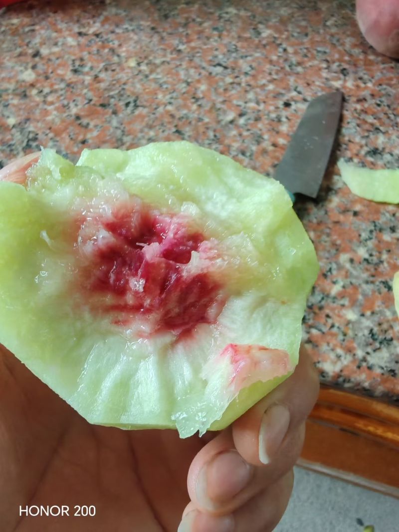 【鹰嘴蜜桃】正宗江西鹰嘴蜜桃/江西鹰嘴桃/大果质量三包