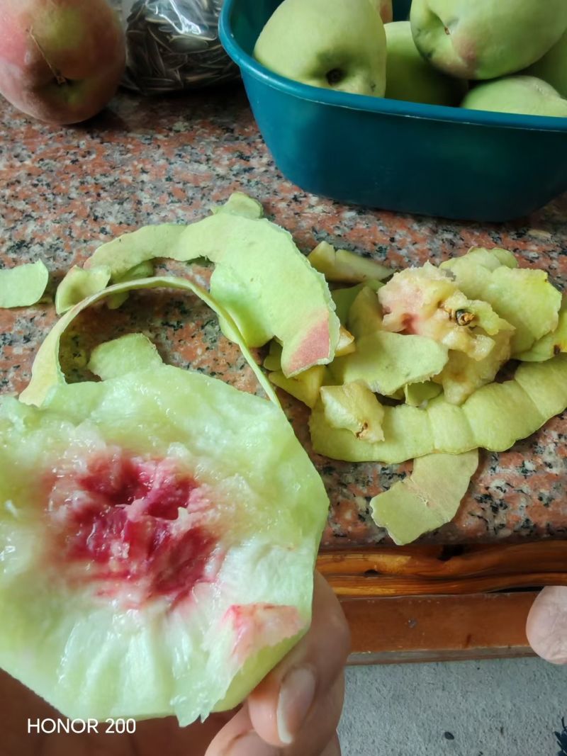 【鹰嘴蜜桃】正宗江西鹰嘴蜜桃/江西鹰嘴桃/大果质量三包