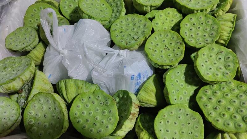江西水果莲蓬，新鲜采摘当天摘当天发水果嫩莲蓬基地直供全国