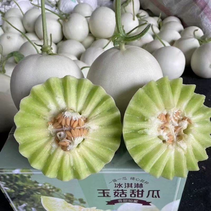 玉姑甜瓜，冰清玉姑，产地一手货源，商超，市场，电商微商