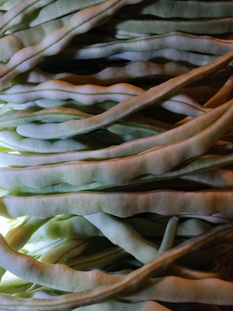 豆角，四季豆