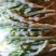 豆角，四季豆