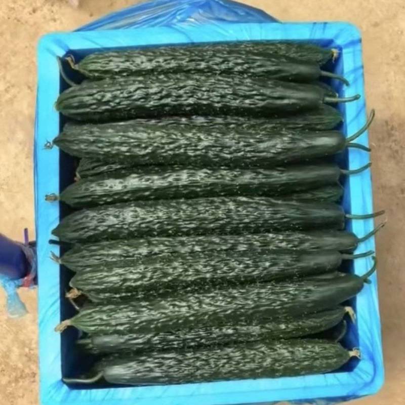 青瓜