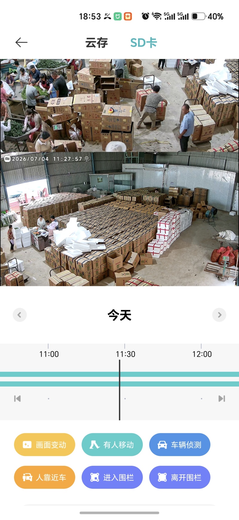 精品杭椒、中椒，新苗上市，量大价优，新鲜现摘