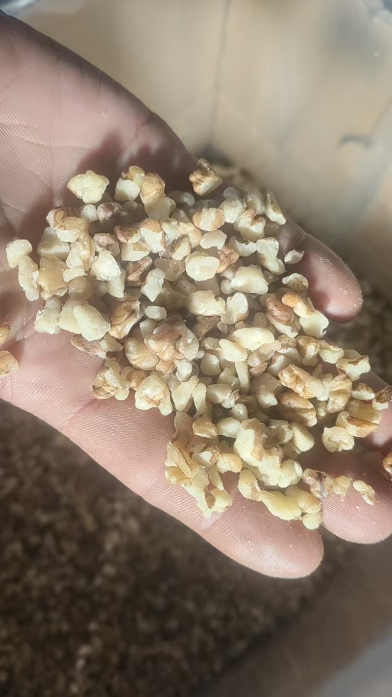 产地直供多规格碎核桃仁新货原味无漂白榨油烘培打粉核桃仁