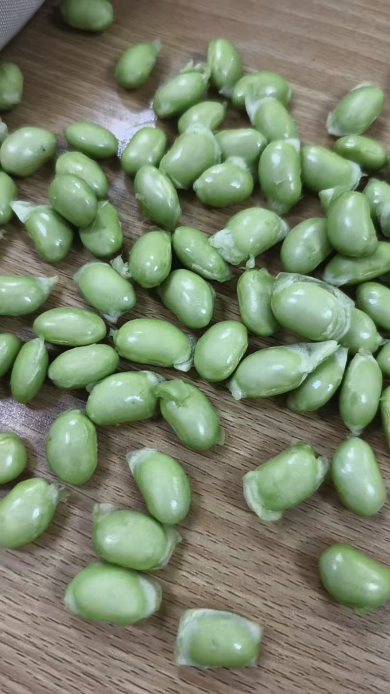 新鲜刚成熟毛豆现摘现发。需要联系