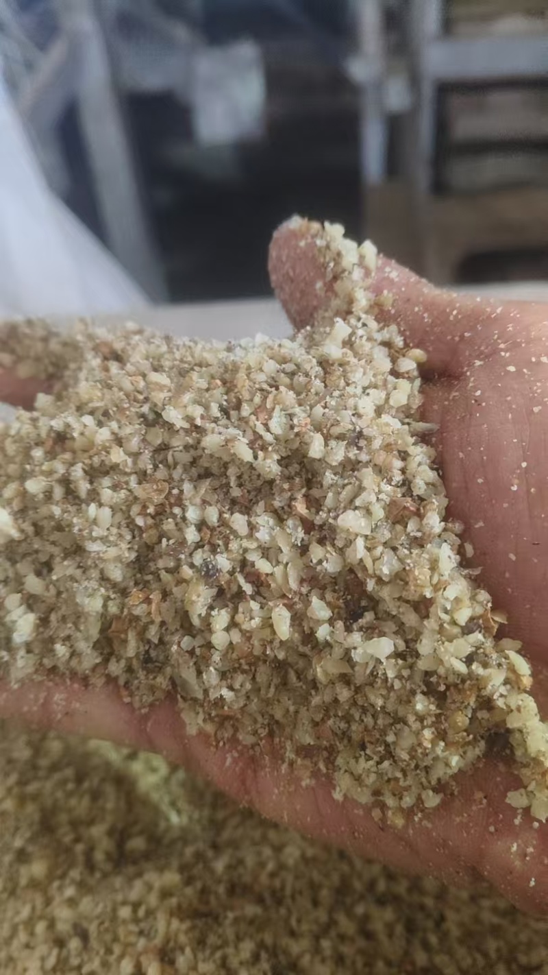 新货新疆山西核桃碎仁，榨油专用多规格，可视频看货