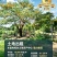 老挝万象泰国桥附近1万平土地出租。
