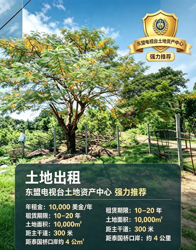 老挝万象泰国桥附近1万平土地出租。