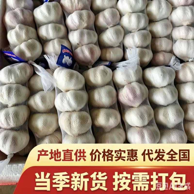 大蒜白皮大蒜，紫皮大蒜大量上市原产地直发欢迎电联