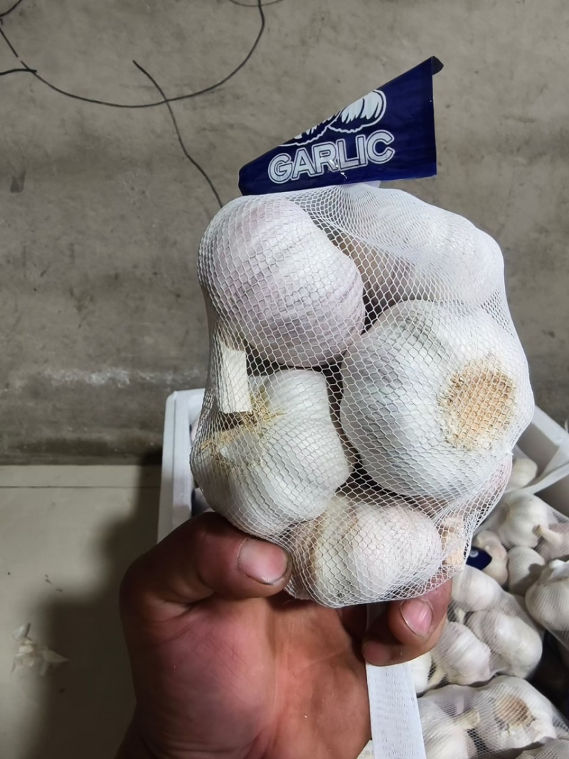 大蒜白皮大蒜，紫皮大蒜大量上市原产地直发欢迎电联
