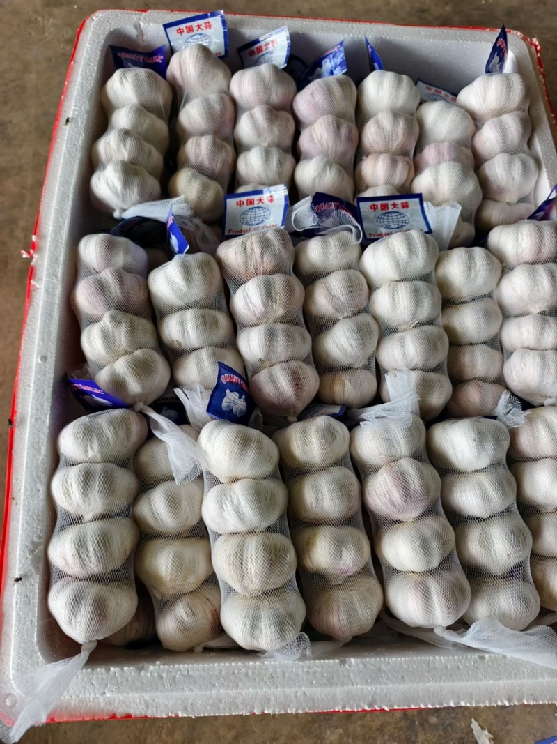大蒜白皮大蒜，紫皮大蒜大量上市原产地直发欢迎电联
