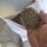 精品孜然产地发货质量保证货源充足欢迎咨询
