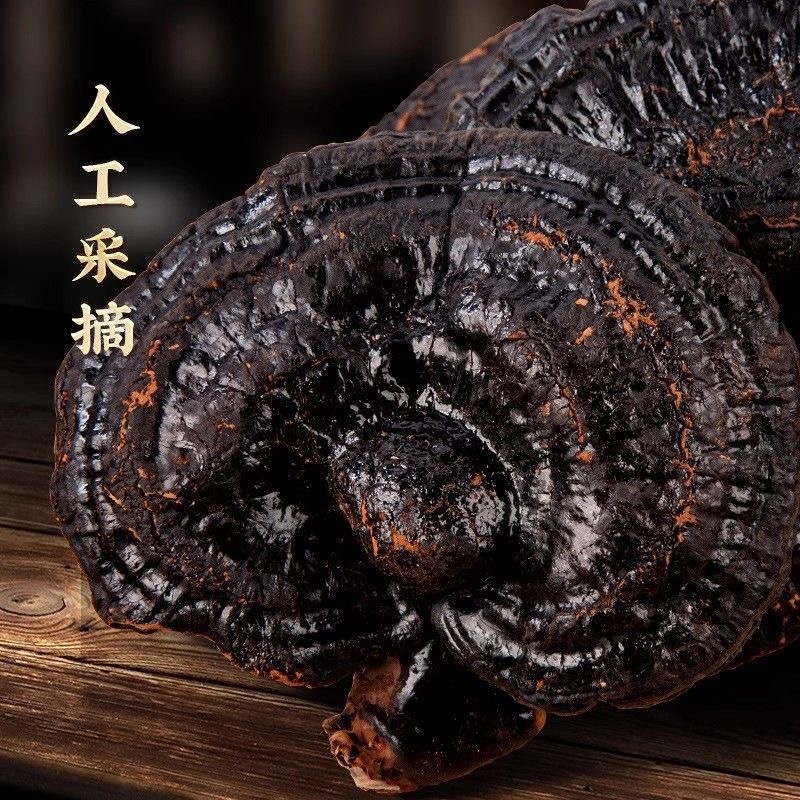 正宗黑灵芝干货美灵芝整朵灵芝整个不苦灵芝个子批发泡酒