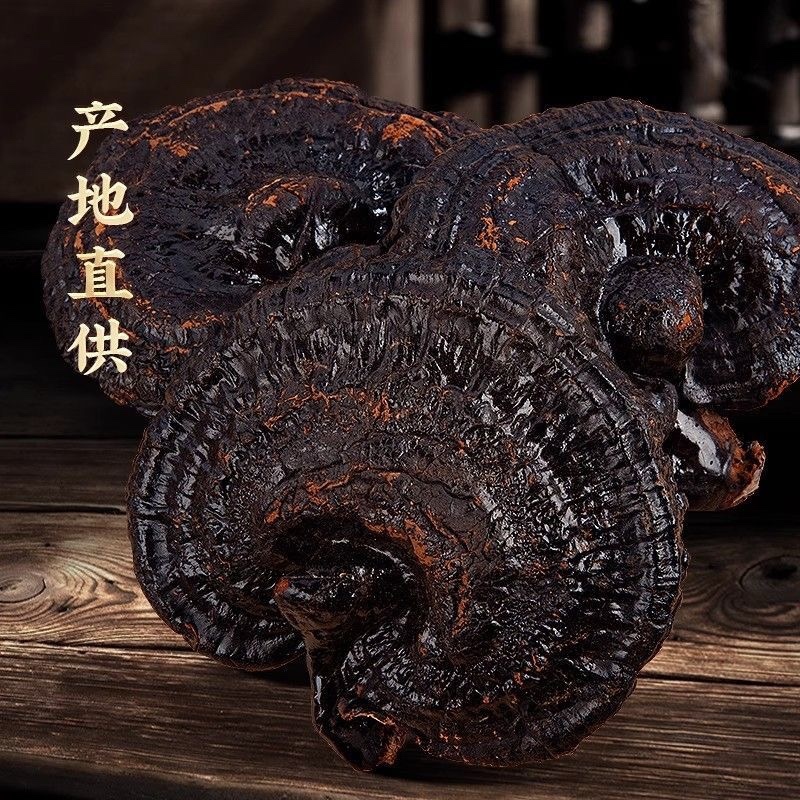 正宗黑灵芝干货美灵芝整朵灵芝整个不苦灵芝个子批发泡酒