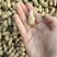 鲜花生带壳鲜花生鲁花白沙四季红现挖现发新鲜带壳鲜花生