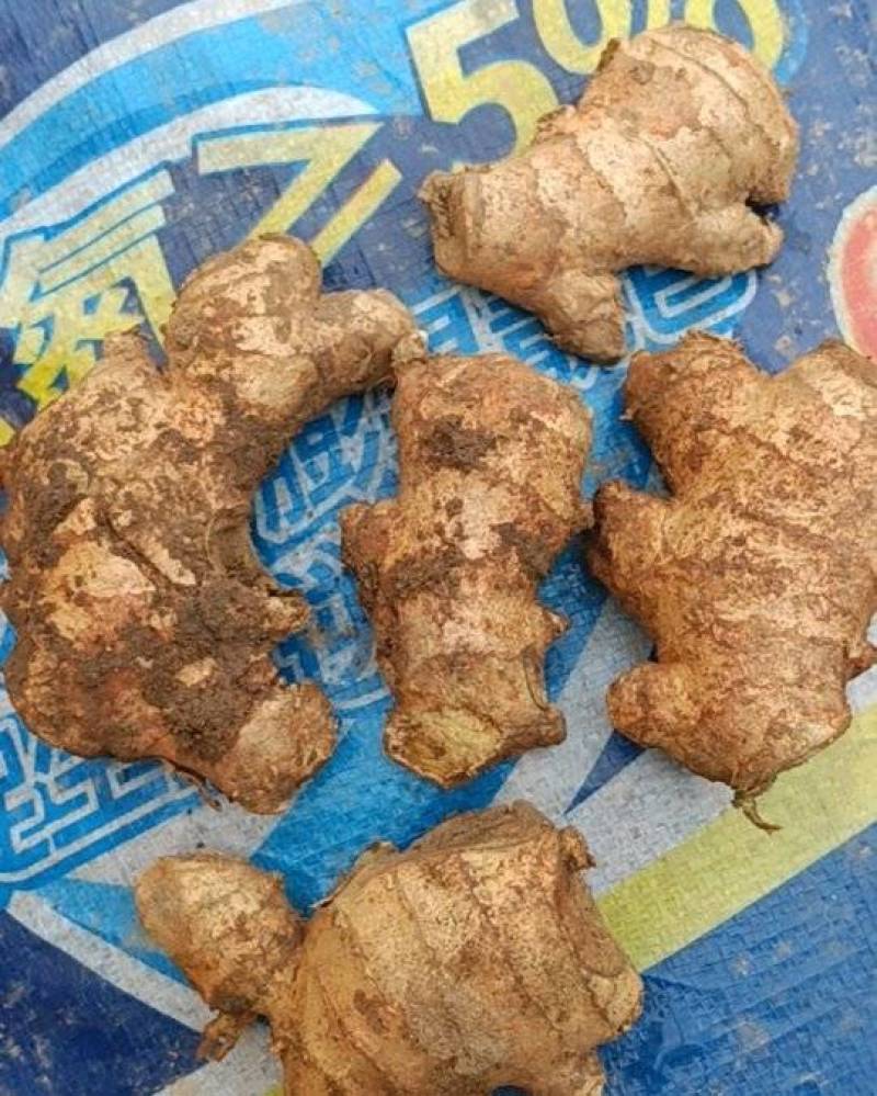 生姜