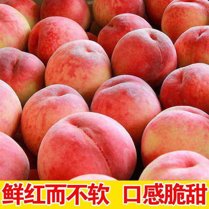 大量毛桃油桃上市，精品***********
