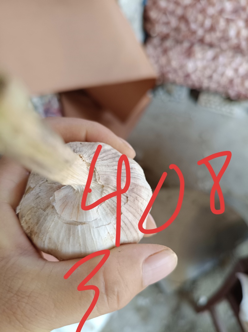 大蒜
