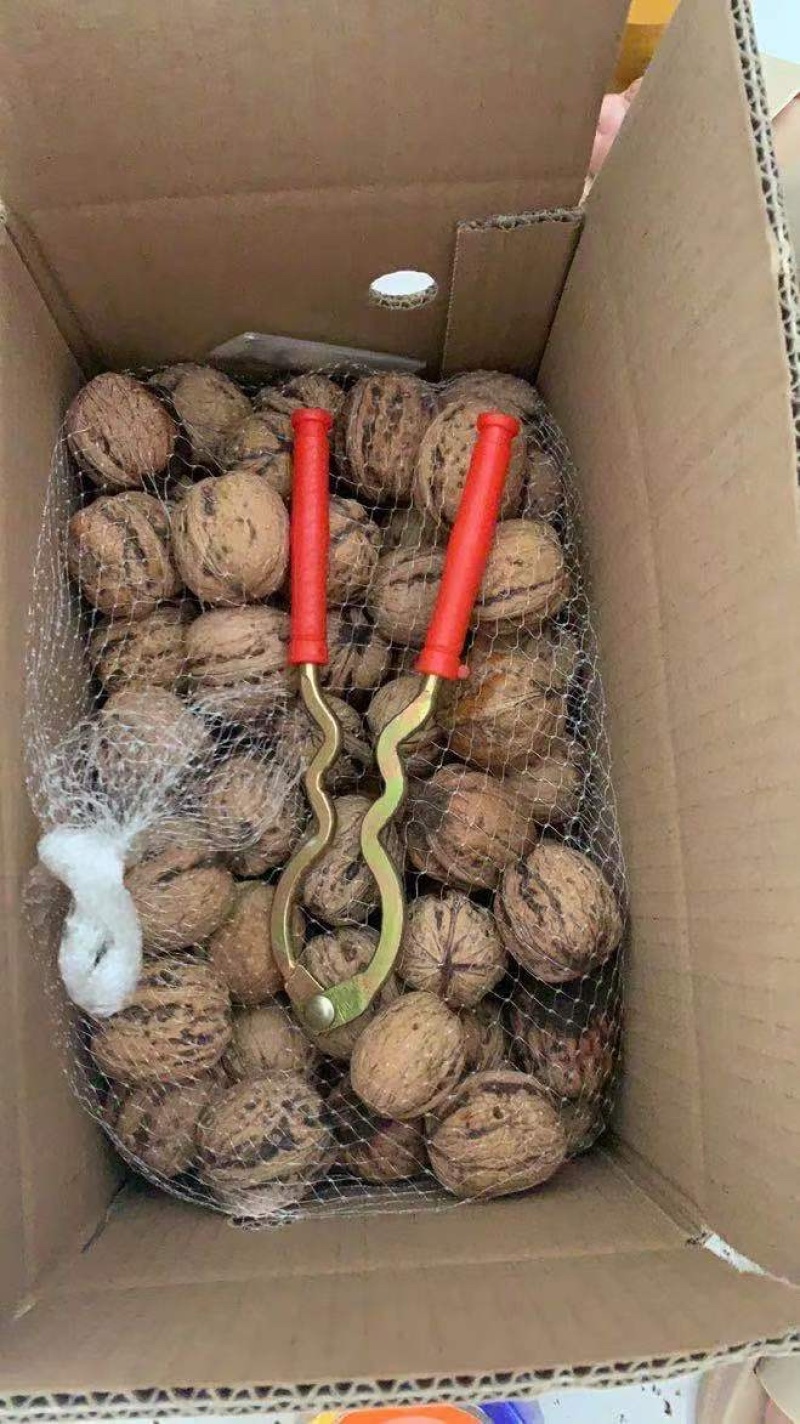 新鲜湿核桃薄皮核桃去青皮核桃黑桃产地直发支持一件代发