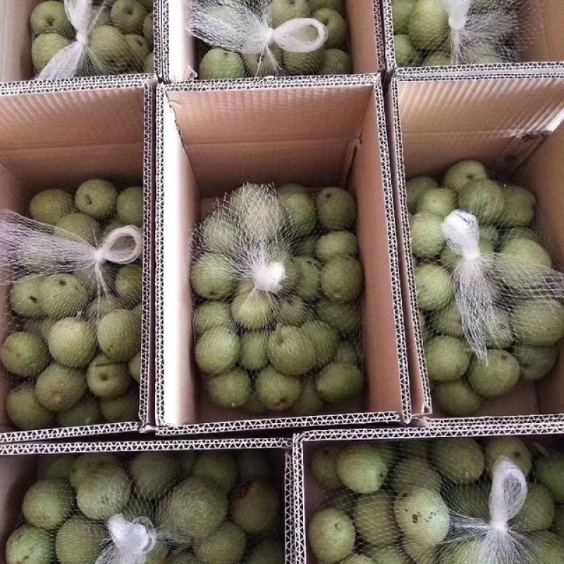 新鲜湿核桃薄皮核桃去青皮核桃黑桃产地直发支持一件代发