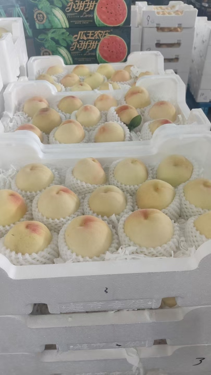 套袋突围桃子销售