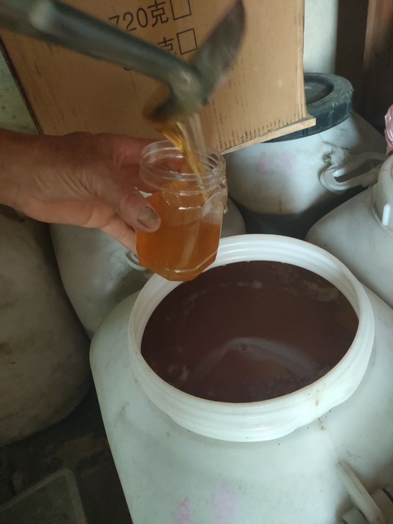 标题：蜂蜜，乌桕蜜，供纯夏蜜乌柏蜂蜜，假一赔十