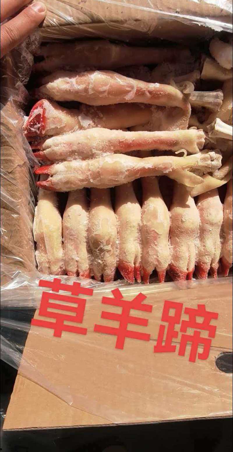草羊蹄，大中小号都有