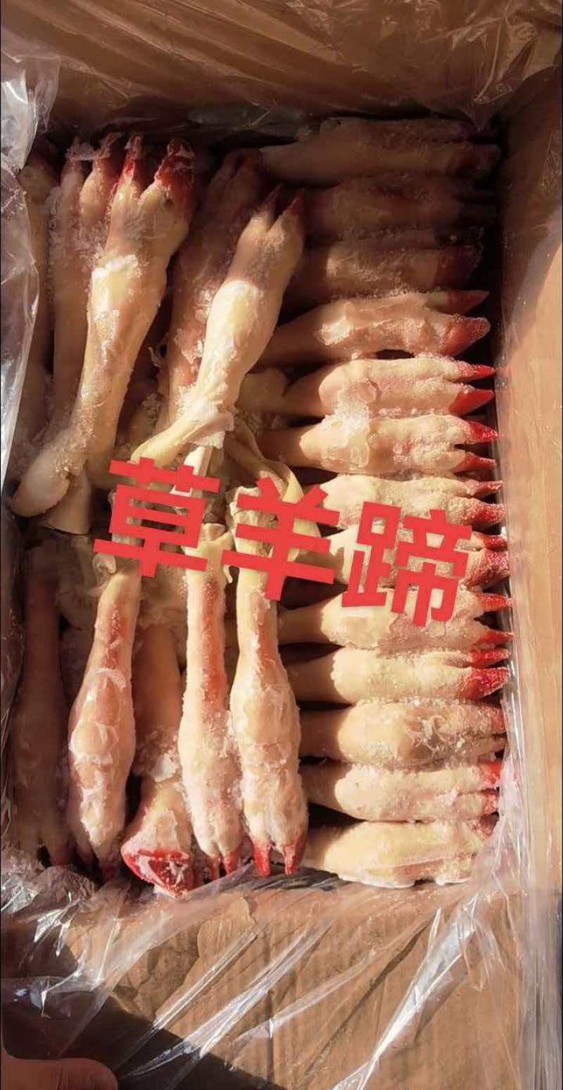 草羊蹄，大中小号都有