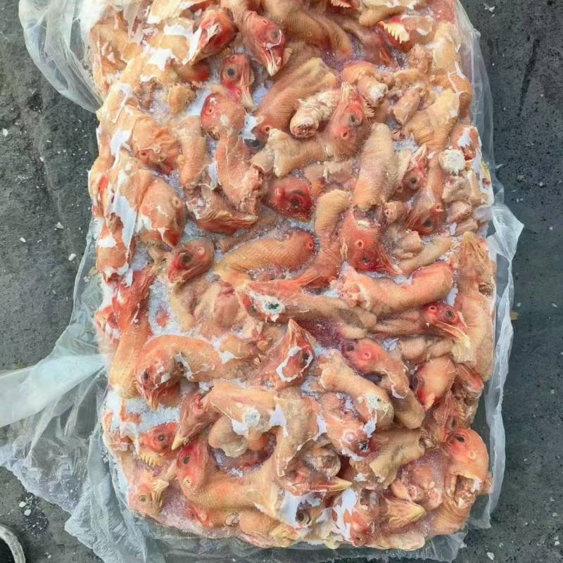 一九肉青