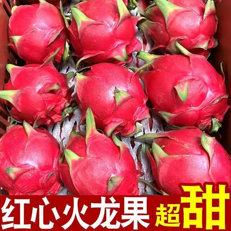 火龙果