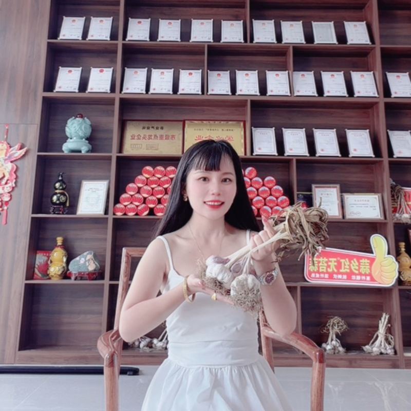 祘迪大蒜种子免费技术指导包回收