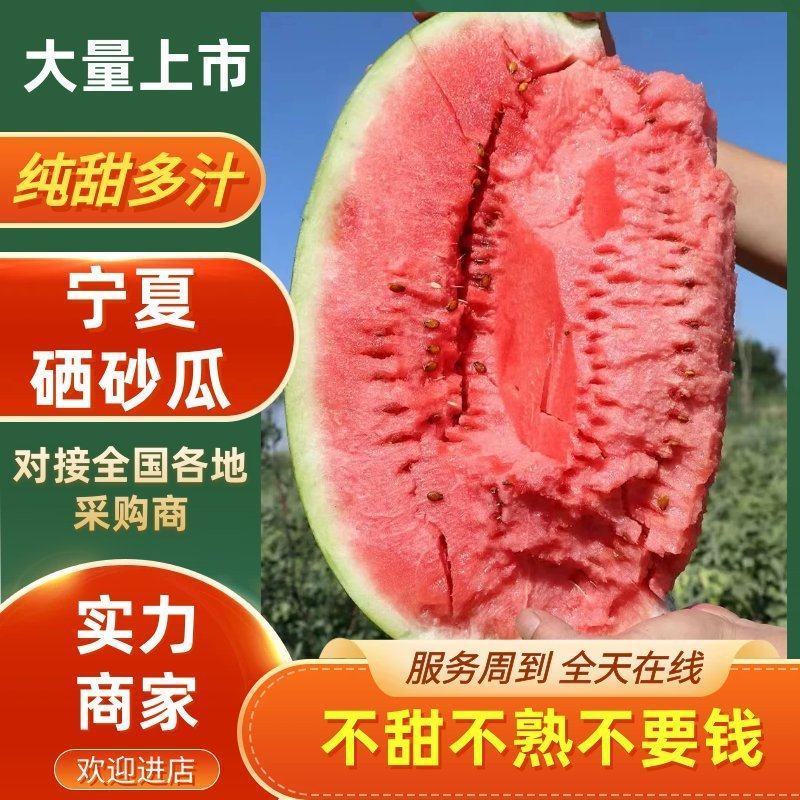 宁夏硒砂瓜大量上市产地直发来电洽谈价格更优惠全国代发