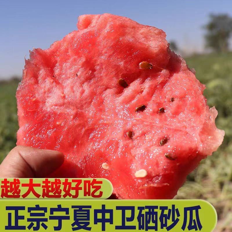 宁夏硒砂瓜大量上市产地直发来电洽谈价格更优惠全国代发