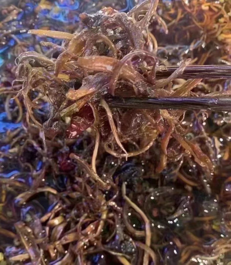 油鸡枞
