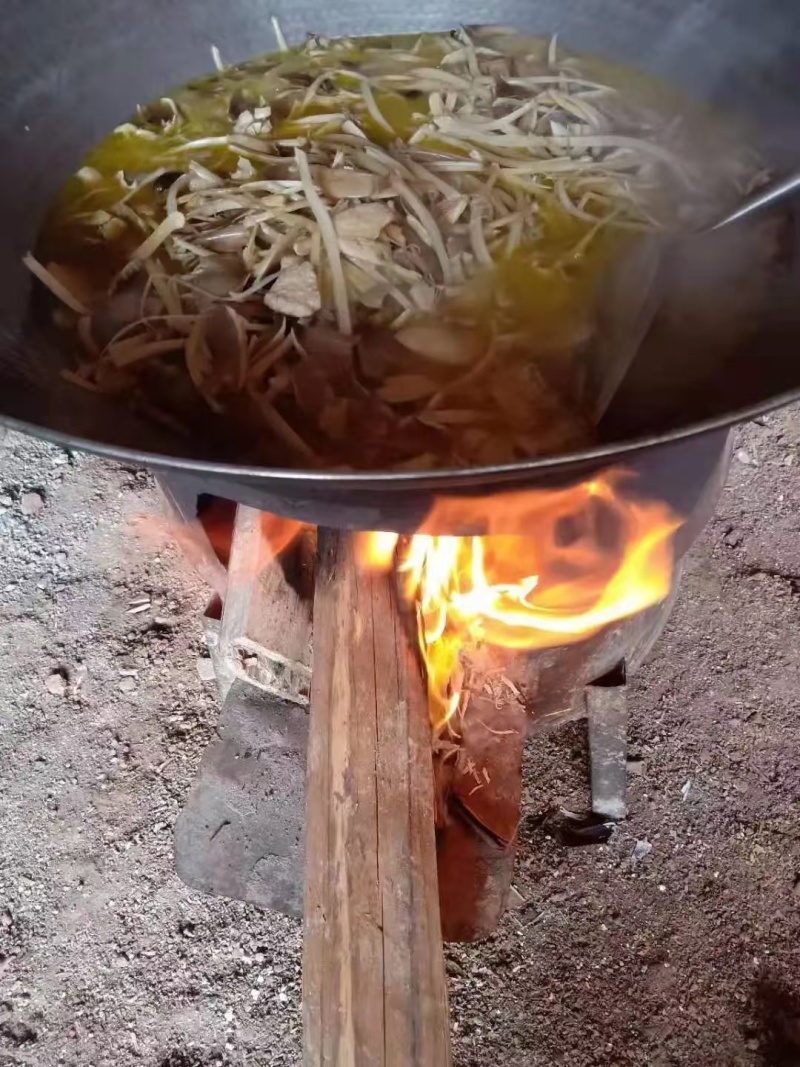 油鸡枞